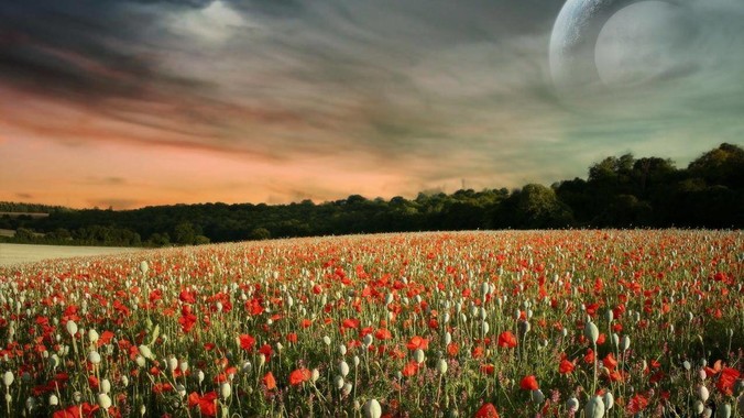 特厨隋坡探店成都快餐店，给出80分以上的高分，为什么评分远高于大饭店？